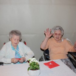IMG 2780 - Toneelvereniging Plankenkoorts 